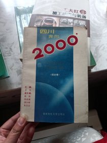 四川奔向2000