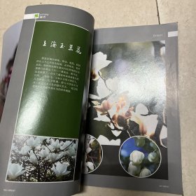 东方文化周刊 2015年总第798期 春江花月夜............