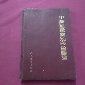 中药组织鉴别彩色图谱