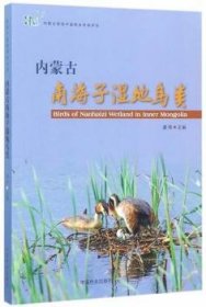 内蒙古南海子湿地鸟类
