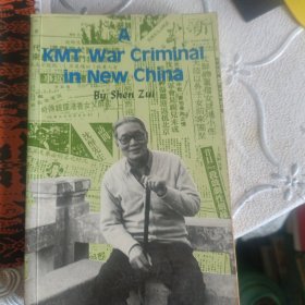 我这三十年 英文版