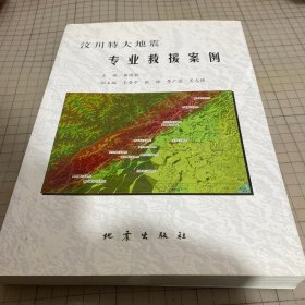 汶川特大地震专业救援案例