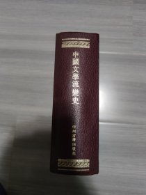 中国文学流变史