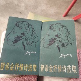 普希金抒情诗选集 上 下 两册合售品如图自然旧