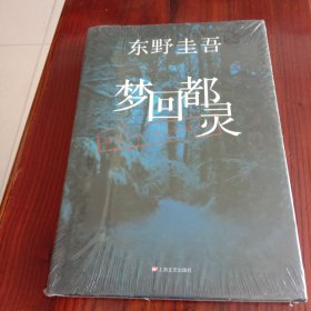 梦回都灵：东野圭吾悬疑系列