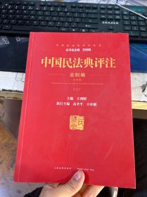 中国民法典评注总则编 上册