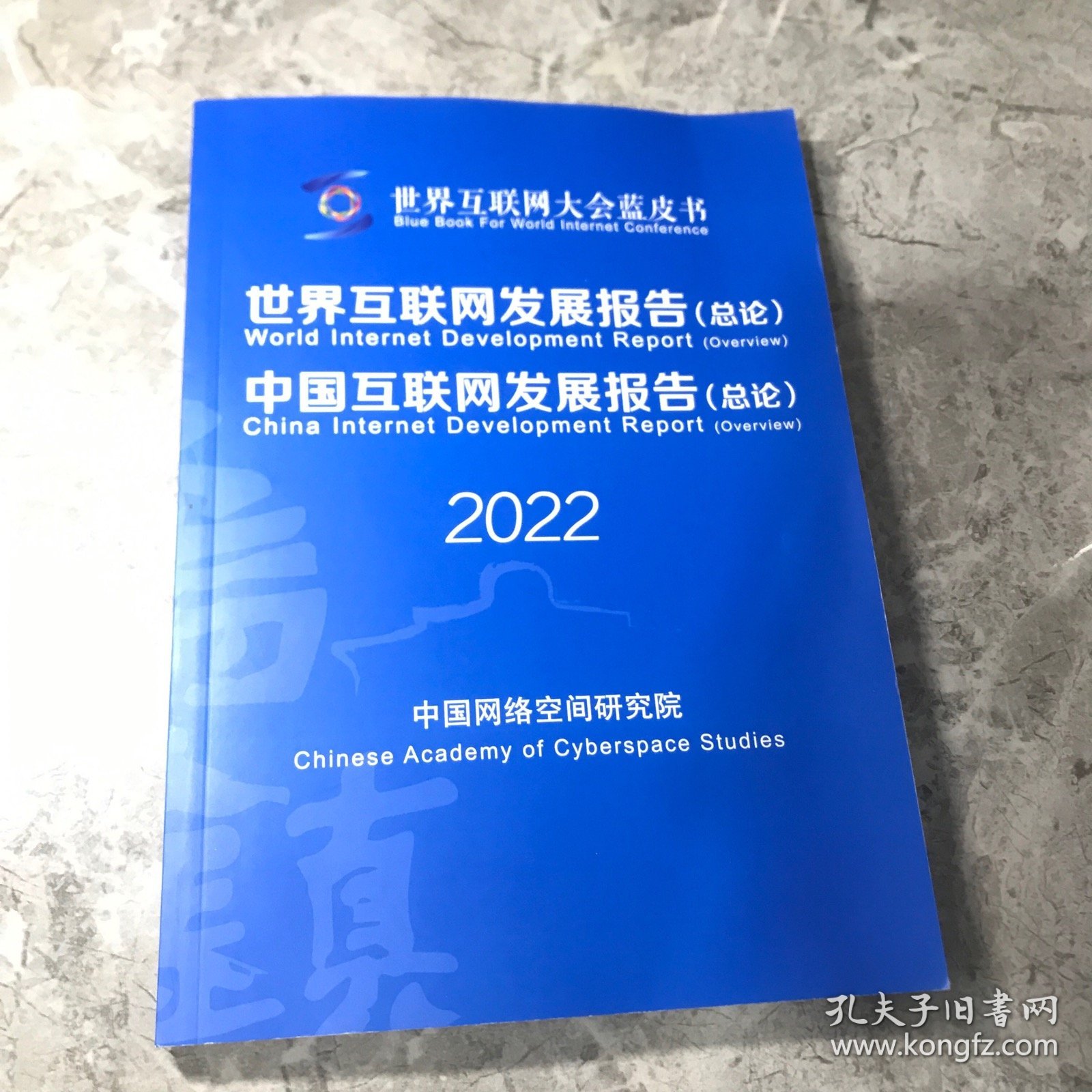 世界互联网大会蓝皮书 世界互联网发展报告（总论）2022 中国互联网发展报告 总论 2022