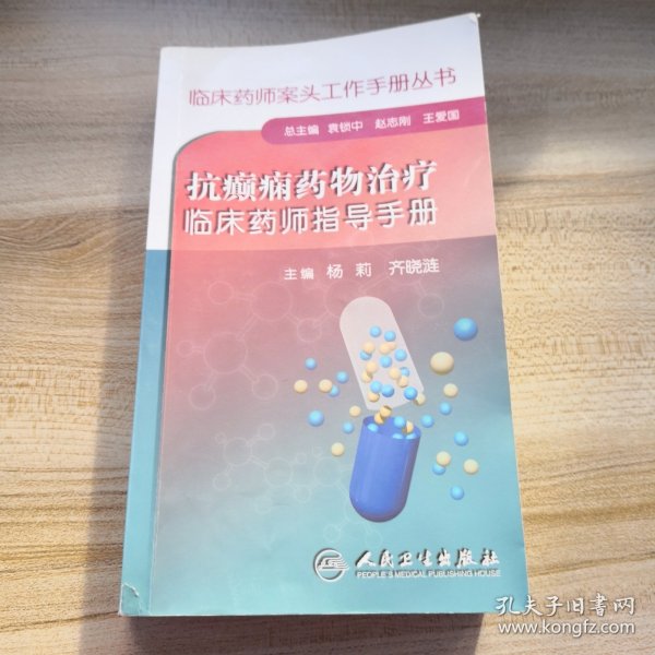 临床药师案头工作手册丛书·抗癫痫药物治疗临床药师指导手册