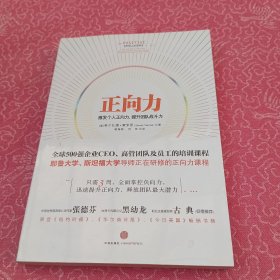 正向力：激发个人正向力，提升团队战斗力