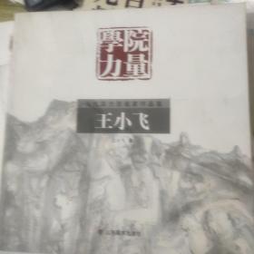 学院力量 : 当代实力派画家作品集. 王小飞（正版）D134