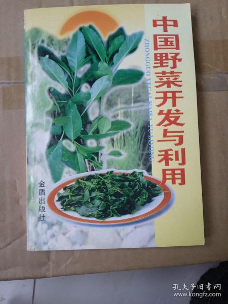 中国野菜开发与利用