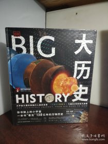 DK大历史：从宇宙大爆炸到我们人类的未来，138亿年的非凡旅程