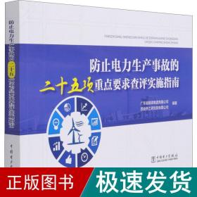 防止电力生产事故的二十五项重点要求查评实施指南