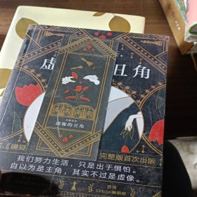 东野圭吾：虚像的丑角（《嫌疑人X的献身》系列作，完整版初次出版）