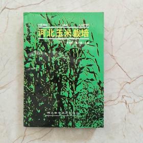 河北玉米栽培