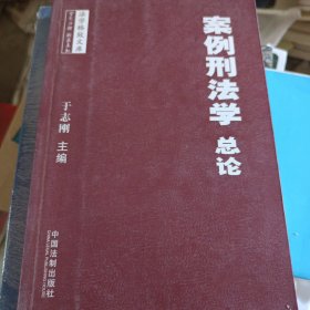 案例刑法学（总论）