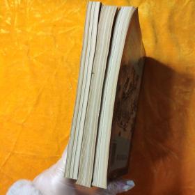 血掌魔影系列二(1一5)奇剑童子功(上中下)