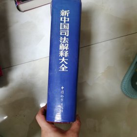 新中国司法解释大全