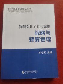 管理会计工具与案例 战略与预算管理/企业管理会计实务丛书