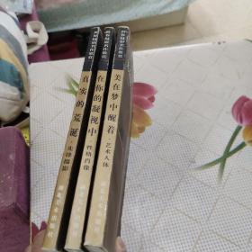 世界摄影名作欣赏：性格肖像、先锋摄影、艺术人体》【3本合售】