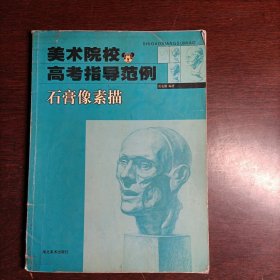 美術(shù)院校高考指導(dǎo)范例.石膏像素描