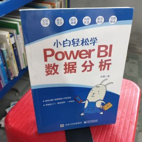 小白轻松学PowerBI数据分析