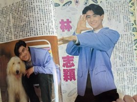 8开台版全彩写真集.林志颖杨林刘德华方季惟关之琳郭富城小虎队吴奇隆苏有朋陈志朋伊能静黎姿包小松包小柏叶蕴仪张雨生周海媚张信哲陈明真东方合唱团陈淑桦周华健张清芳张国荣孟庭苇金铭红孩儿.每人多页彩页。