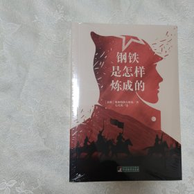 钢铁是怎样炼成的/世界名著典藏（名家全译本 外国文学畅销书）