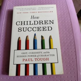 How Children Succeed-孩子如何成功 内页全新