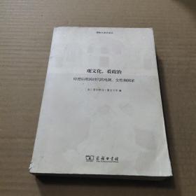 观文化，看政治：印度后殖民时代的电视、女性和国家