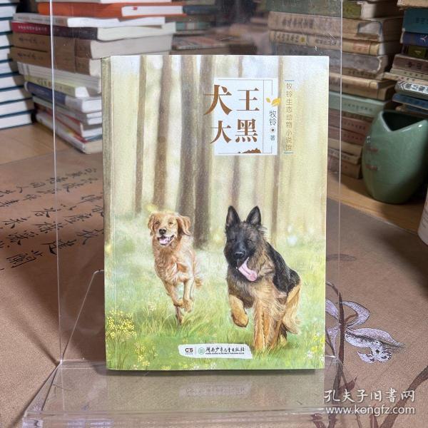 犬王大黑