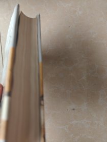 金瓶梅（下册）精装 齐鲁书社