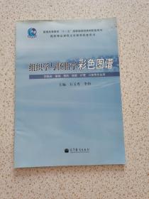 组织学与胚胎学彩色图谱