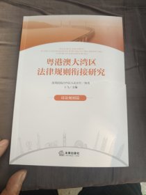 粤港澳大湾区法律规则衔接研究：诉讼规则篇