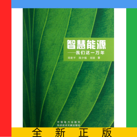 智慧能源--我們這一萬年