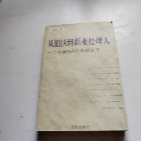 从MBA到职业经理人:一个中国MBA的商战实录