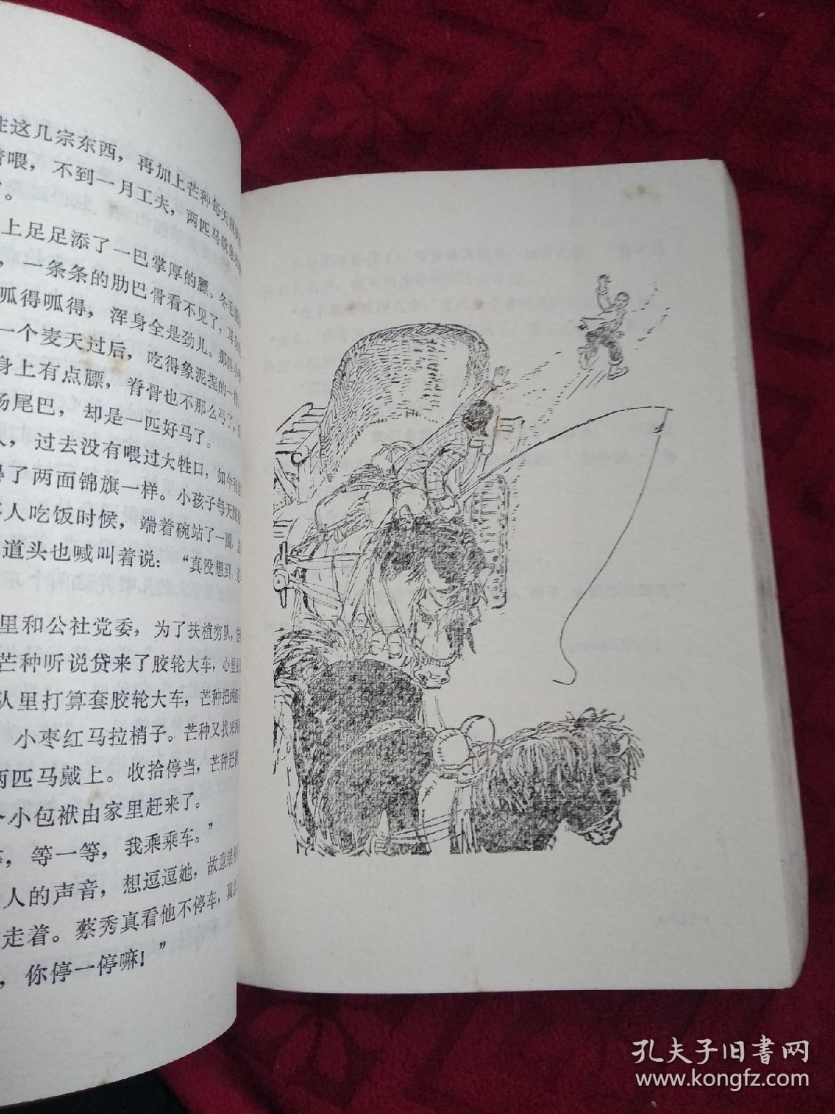 春笋集