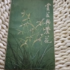 赏花与养花