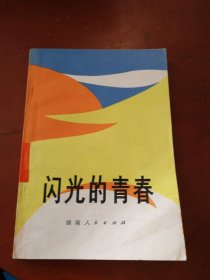 闪光的青春