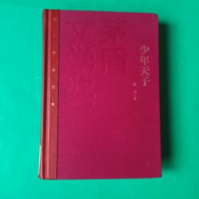 茅盾文学奖获奖作品全集：少年天子（精装本）