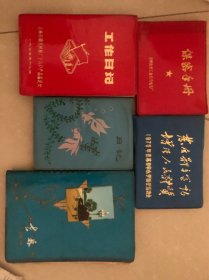 老日记本30一本随选