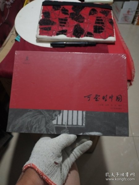 《可爱的中国》方志敏原著、赵奇绘制