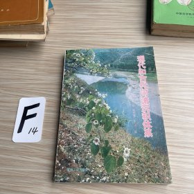 现代和古代河流沉积体系
