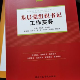 基层党组织书记工作实务