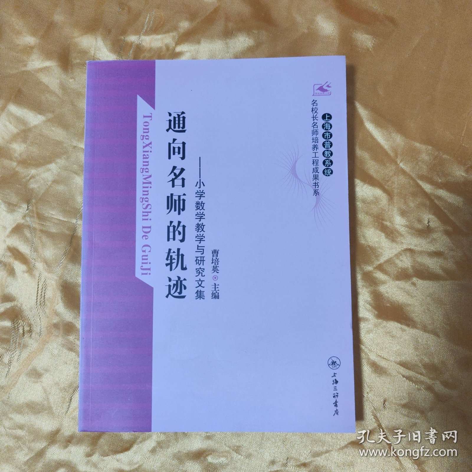 通向名师的轨迹：小学数学教学与研究文集