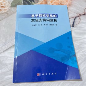 全新正版图书 基于特权信息的灰色支持向量机