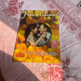 电影场刊 面包与郁金香 Pane e tulipani