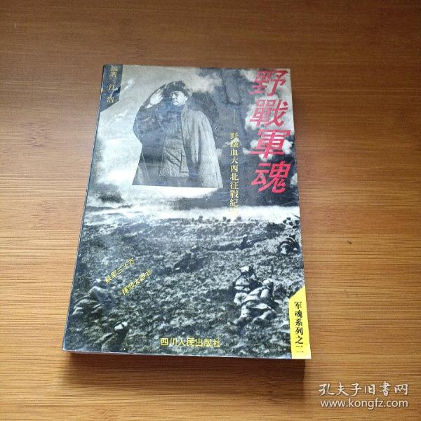 野战军魂:一野将士铁血大西北征战纪实