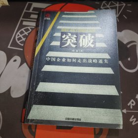 突破：中国企业如何走出战略迷失