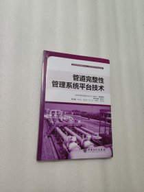 管道完整性管理系统平台技术管道完整性管理技术丛书